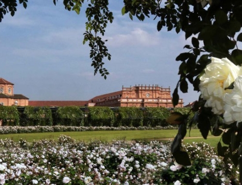 IL MENU DELLA POESIA ALLA REGGIA DI Venaria Reale!!