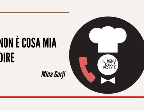 NON E’ COSA MIA DIRE di Mina Gorji