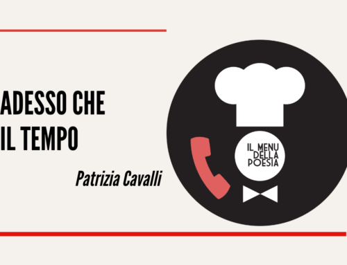 ADESSO CHE IL TEMPO di Patrizia Cavalli