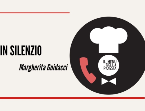 IN SILENZIO di Margherita Guidacci