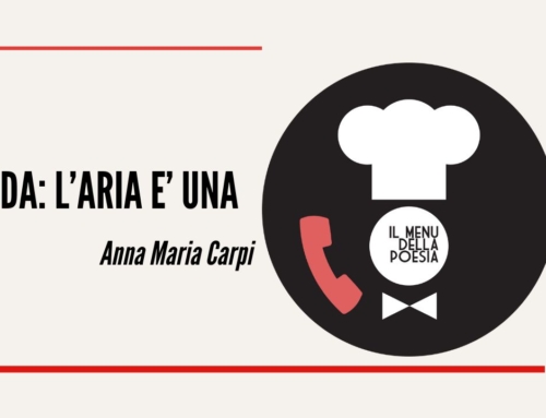 da: L’ARIA E’ UNA di Anna Maria Carpi