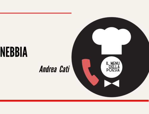 NEBBIA di Andrea Cati