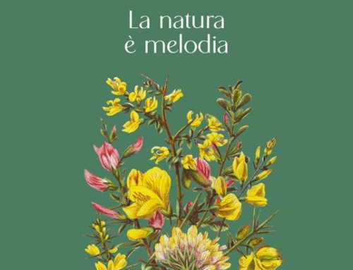Emily Dickinson: “la natura è melodia”