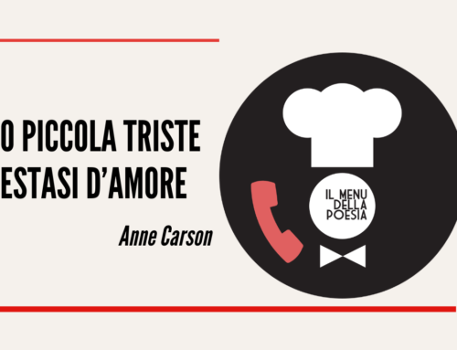 O PICCOLA TRISTE ESTASI D’AMORE di Anne Carson