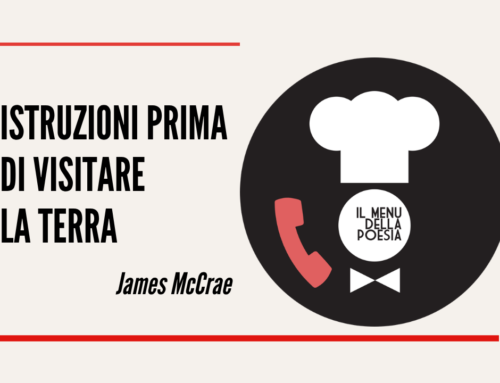 ISTRUZIONI PRIMA DI VISITARE LA TERRA di James McCrae